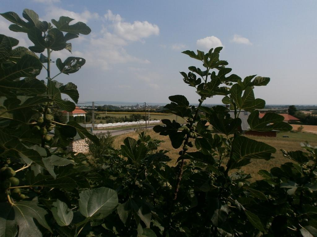 Fehér Rózsa Apartman Cserszegtomaj Habitación foto